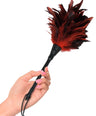 Frisky Feather Duster