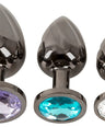 Metal Butt Plug Set